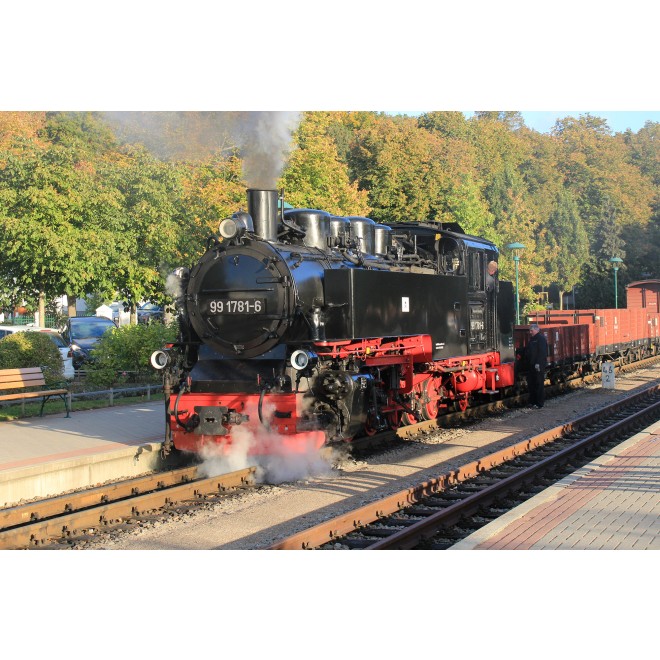 Bemo 1017896 - RüBB 99 1781-6 Fertigmodell