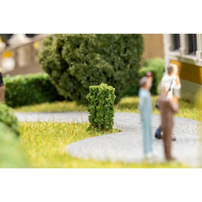 10 Vorgartenbäume, Thuja, säu, Spur H0, TT, N