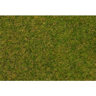 Faller 170215 - Grasfasern, Frühsommerwiese,