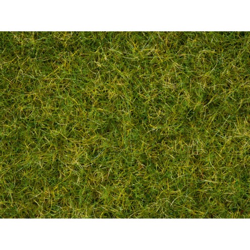 Noch 07072 - Master-Grasmischung Sommerwiese, 2,5 bis 6 mm