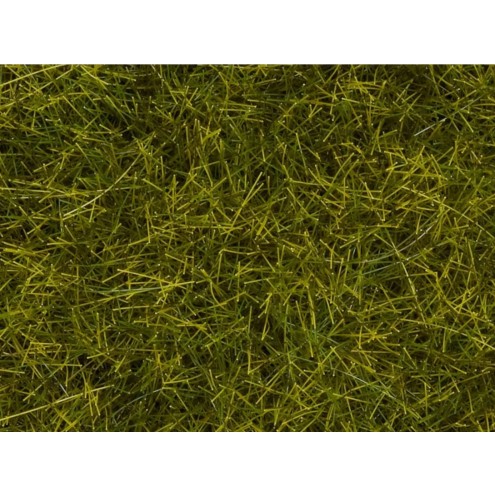Noch 07110 - Wildgras XL “Wiese”