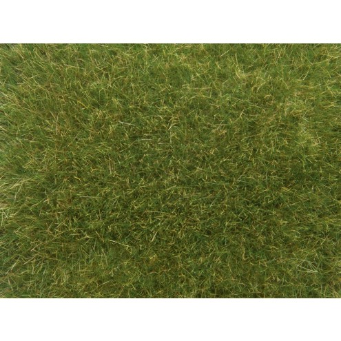 Noch 07118 - Wildgras mittelgrün, 9 mm, 50 g Beutel