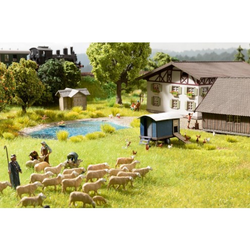 Noch 12961 - N Schafherde