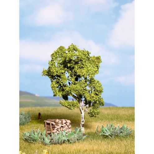 Noch 21640 - Birke, 11,5 cm