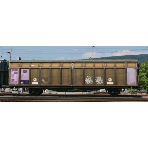 Hobbytrain 24650 - 2er Set Schiebewandwagen Hbbiks DB, Ep.IV