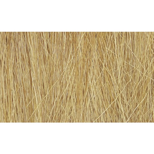 Woodland FG172 - Harvest Gold Field Grass