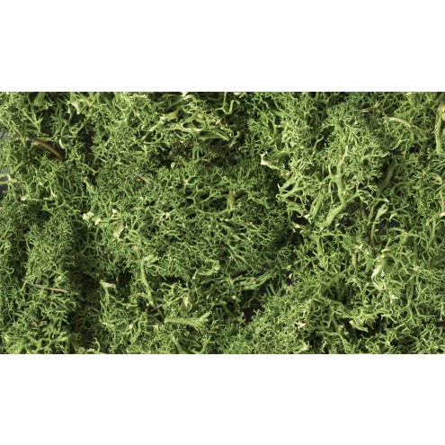 Woodland L163 - Medium Green Lichen