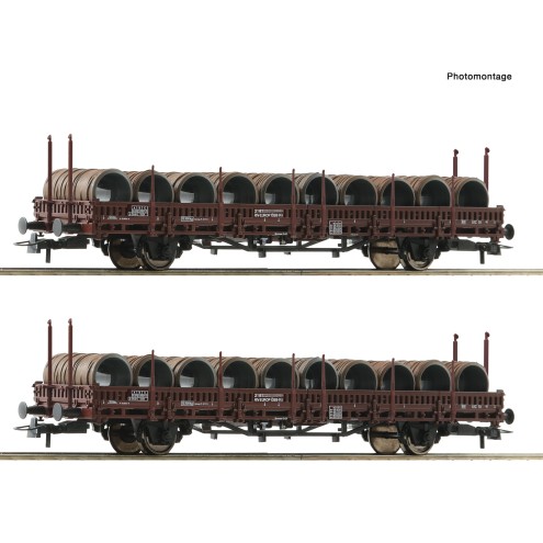Roco 6600120 - 2er Set Rungenwag. Ks OEBB