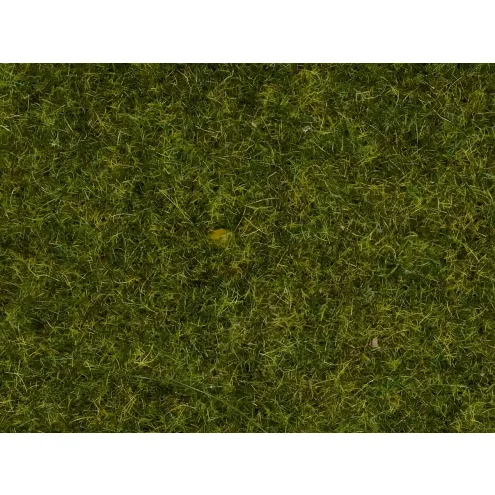 Noch 08152 - Streugras “Wiese”